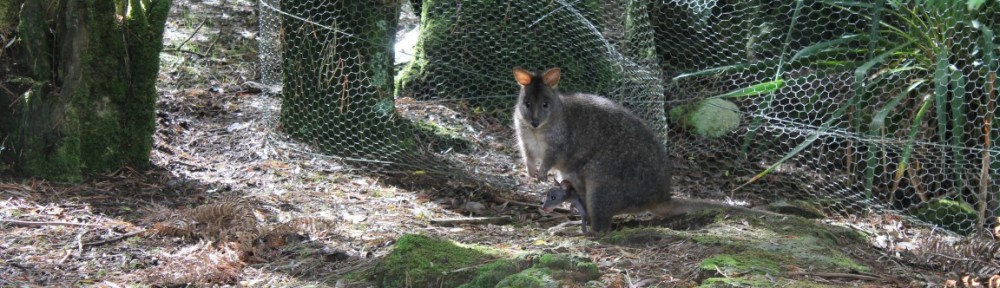 Fauna Australia Wildlife Retreat